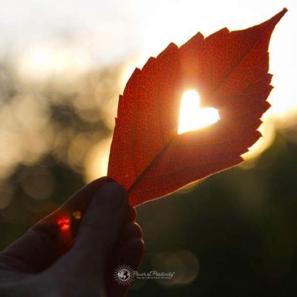 Meet your Posher, Christine - Picture 1 of 1